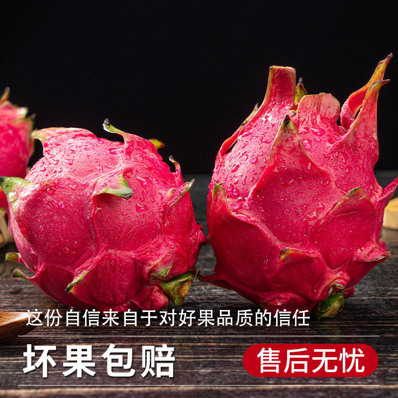 金都一号红心火龙果新鲜现摘应季鲜甜多汁薄皮水果广东火龙果红心