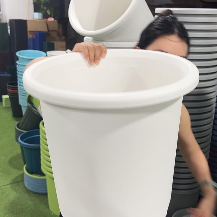 特价8号四季口39高37白色5只无托