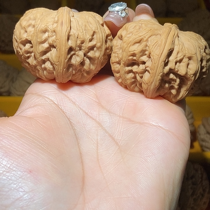 边38肚46元宝！好运连连
