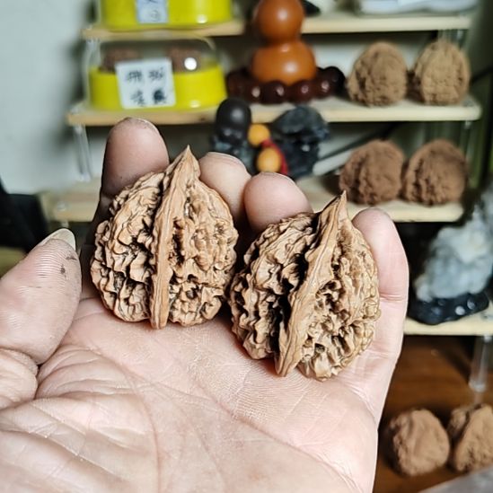43加尺寸，涞水原桩官帽