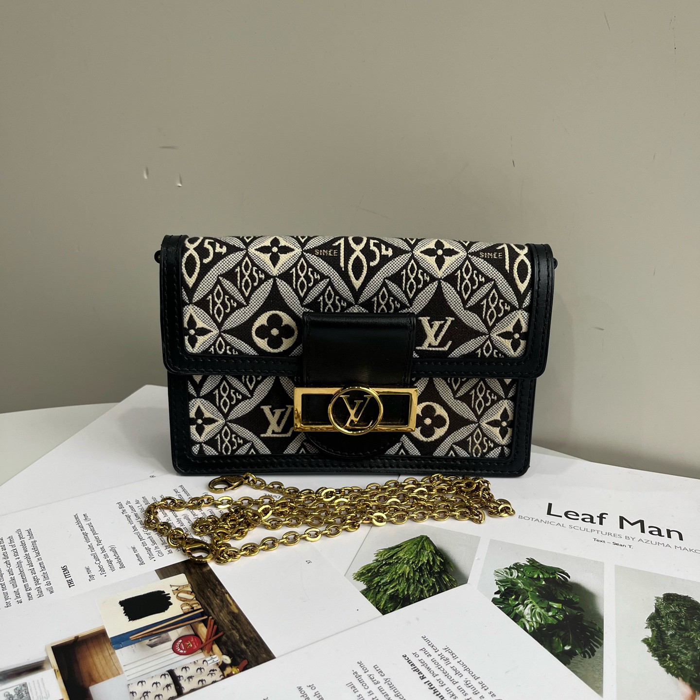 99新 LouisVuitton/路易威登 1854限定款达芙妮woc包