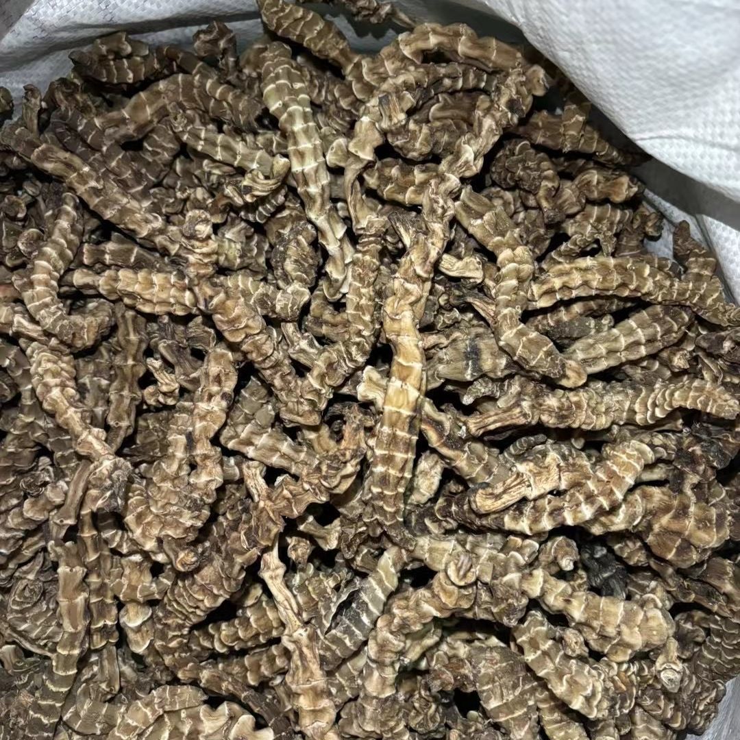 【虫草参】G 云南野生 虫草参 云南深山正品干货