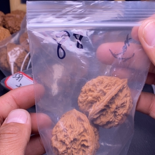 【闪购商品】吊坠文玩核桃随***。