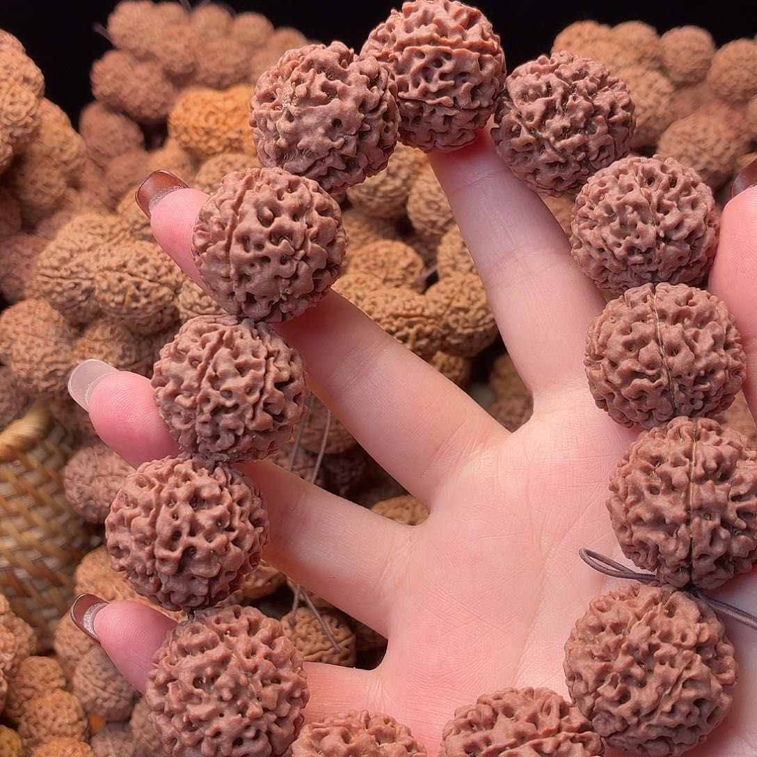 手串金刚菩提七瓣  25  12号