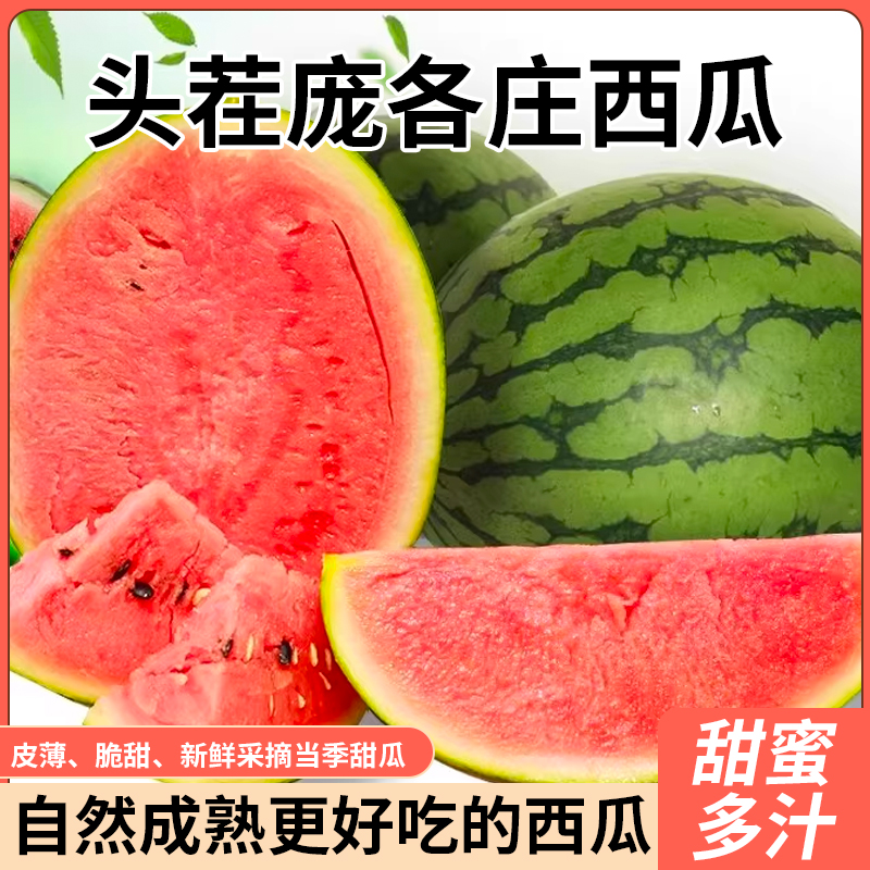 庞各庄新鲜现摘现发脆甜多汁L600头茬小西瓜黑籽薄皮吊瓜手剥瓜