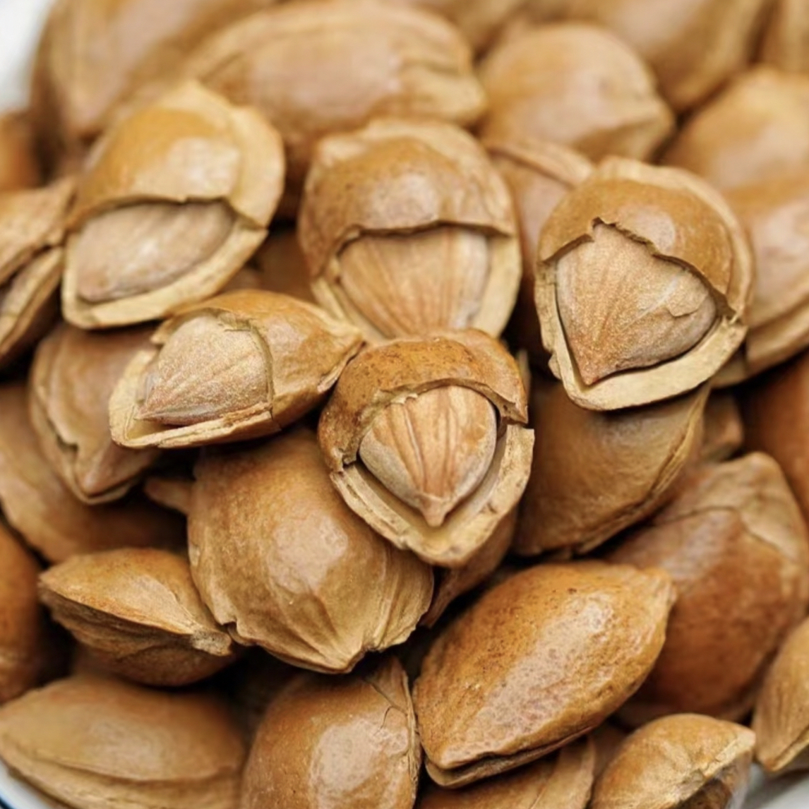 新疆开口小杏核