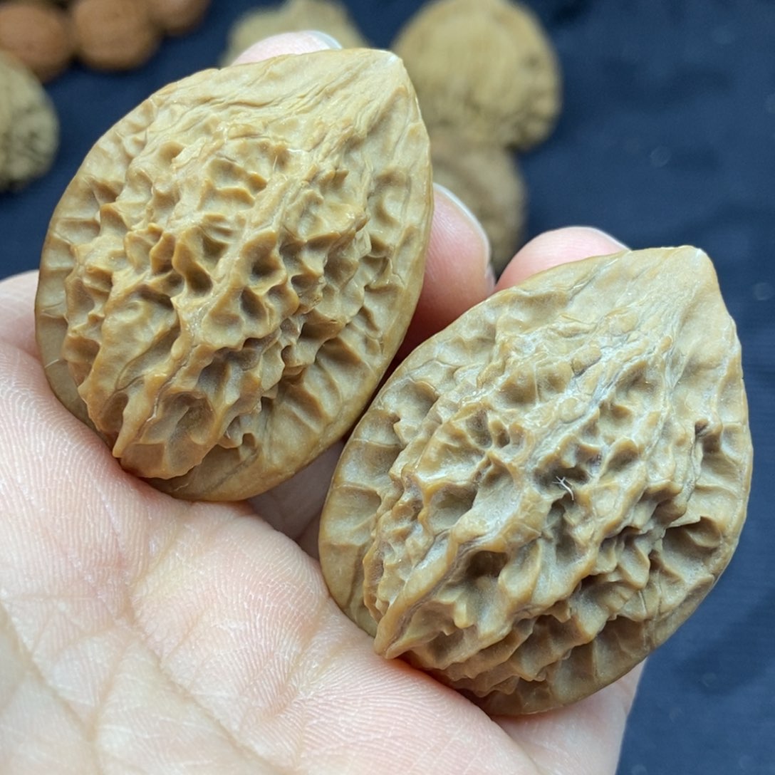 文玩核桃把件野生凤凰羽鸡心32尺寸