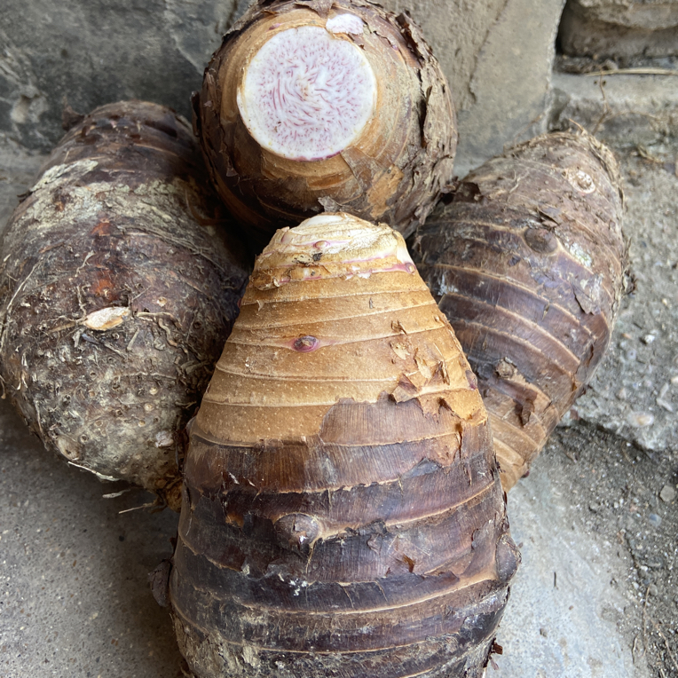 广西农家新鲜现挖小芋头   粉糯卡颈 大芋头