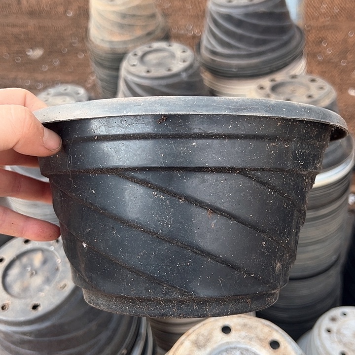 塑料口径20高度11黑螺旋一组15个