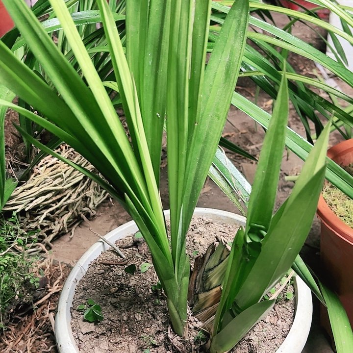 完全开放1111111111111