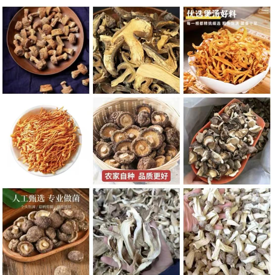 C008备用链接 高端品质 香菇菌子 现货山货