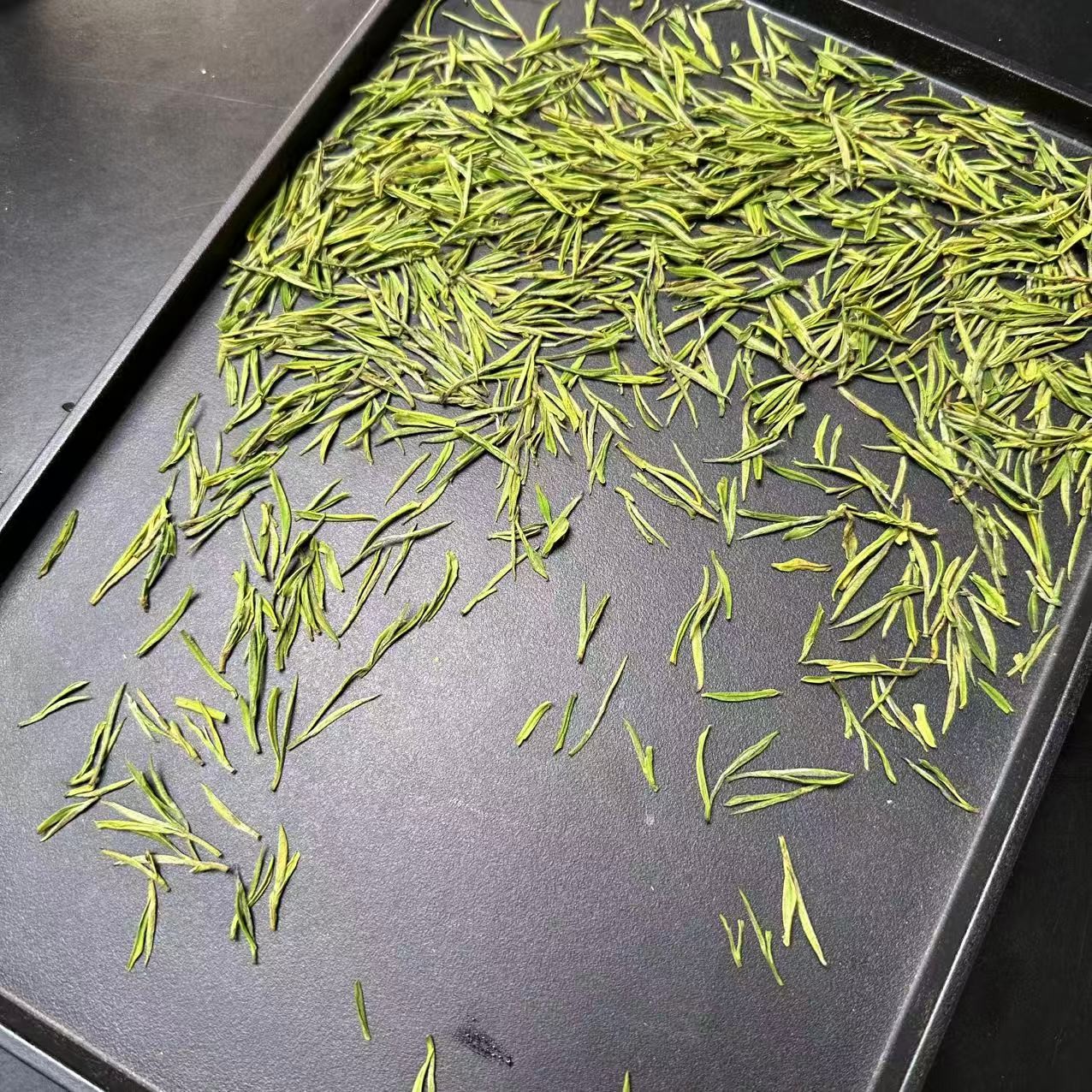 A40云雾小芽 2025新茶明前安吉高山白茶  （地道兰花香）
