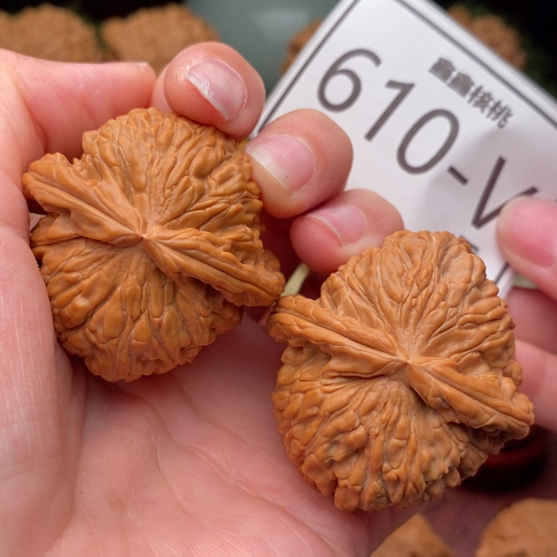 文玩核桃把件白狮42