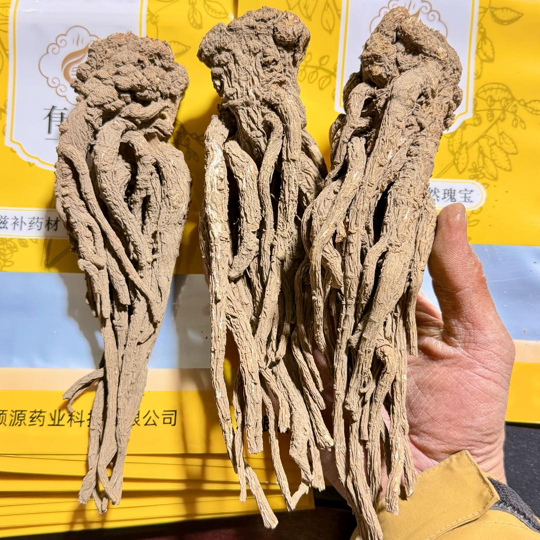 甘肃岷县正宗当归片无硫熏豆香浓可泡水泡酒煲汤