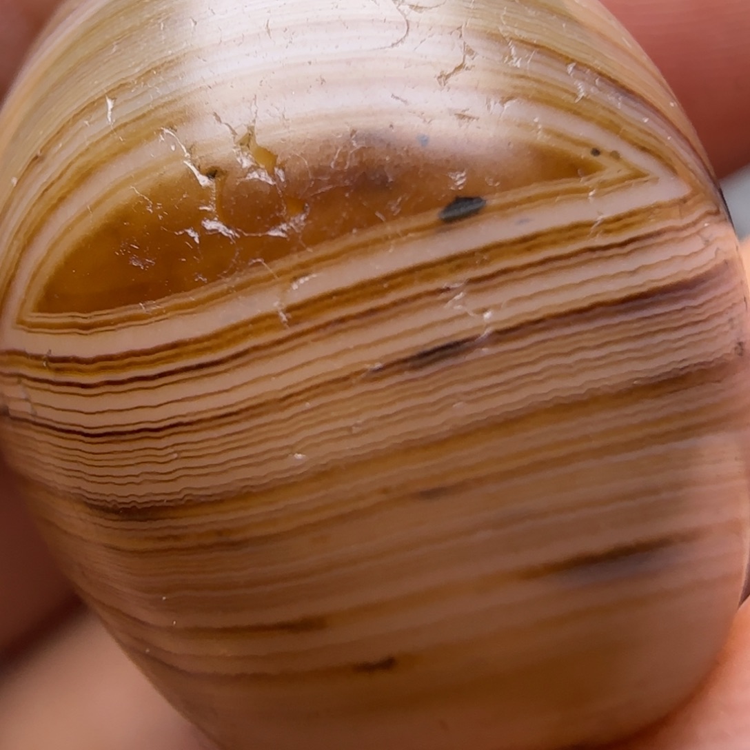 闪购商品链接一个