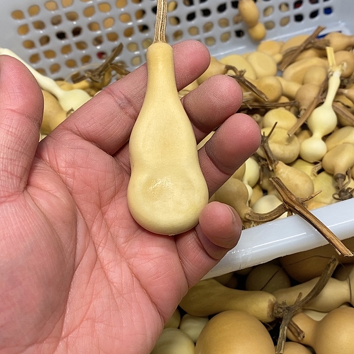 ～***迎精品葫芦手把葫芦56