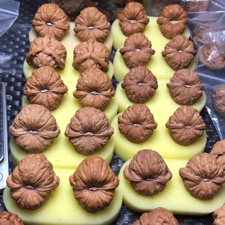 懒***觉大叶紫檀（黑酸枝木类）