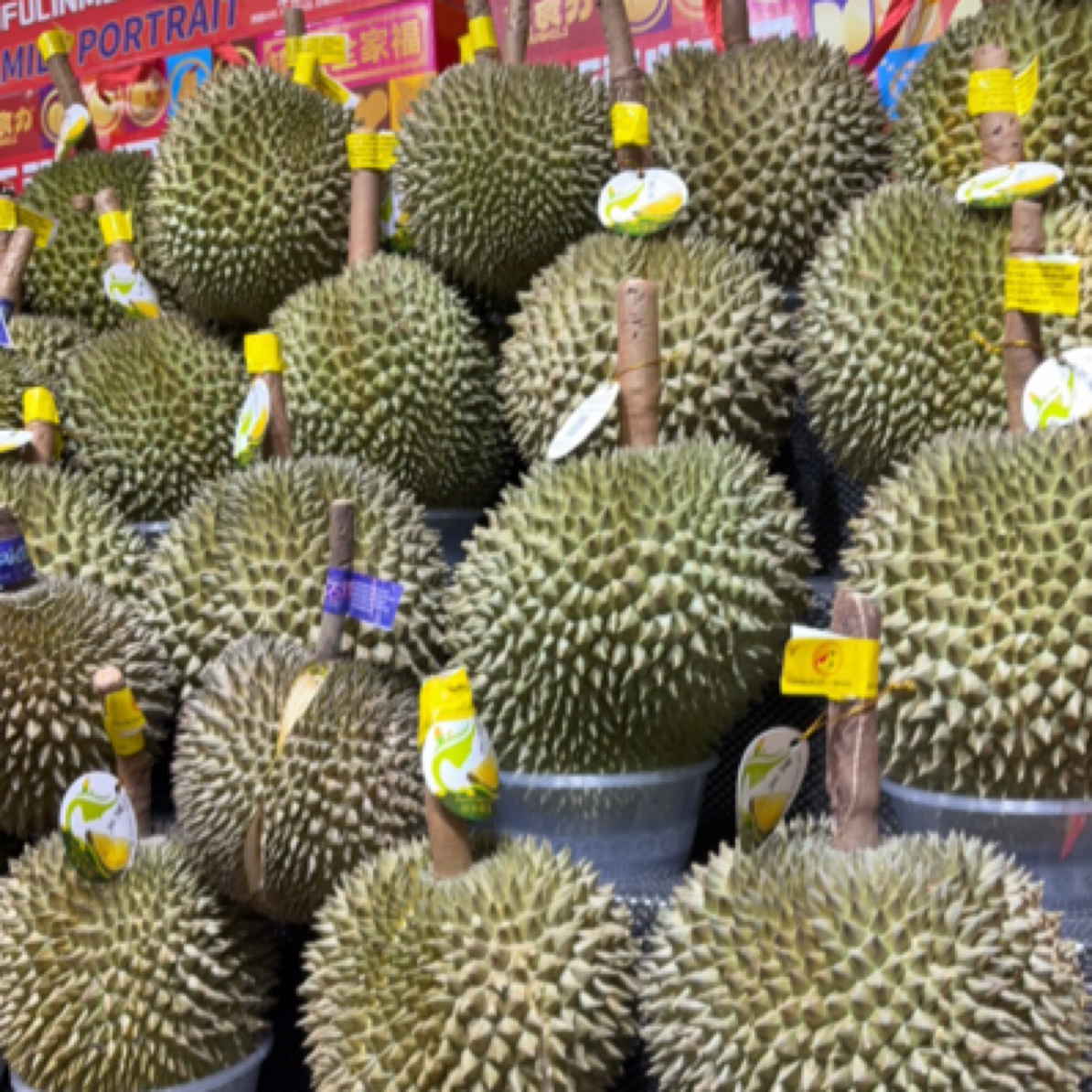 泰国长柄猫山王新鲜3-8斤核大猫山王泰国东部