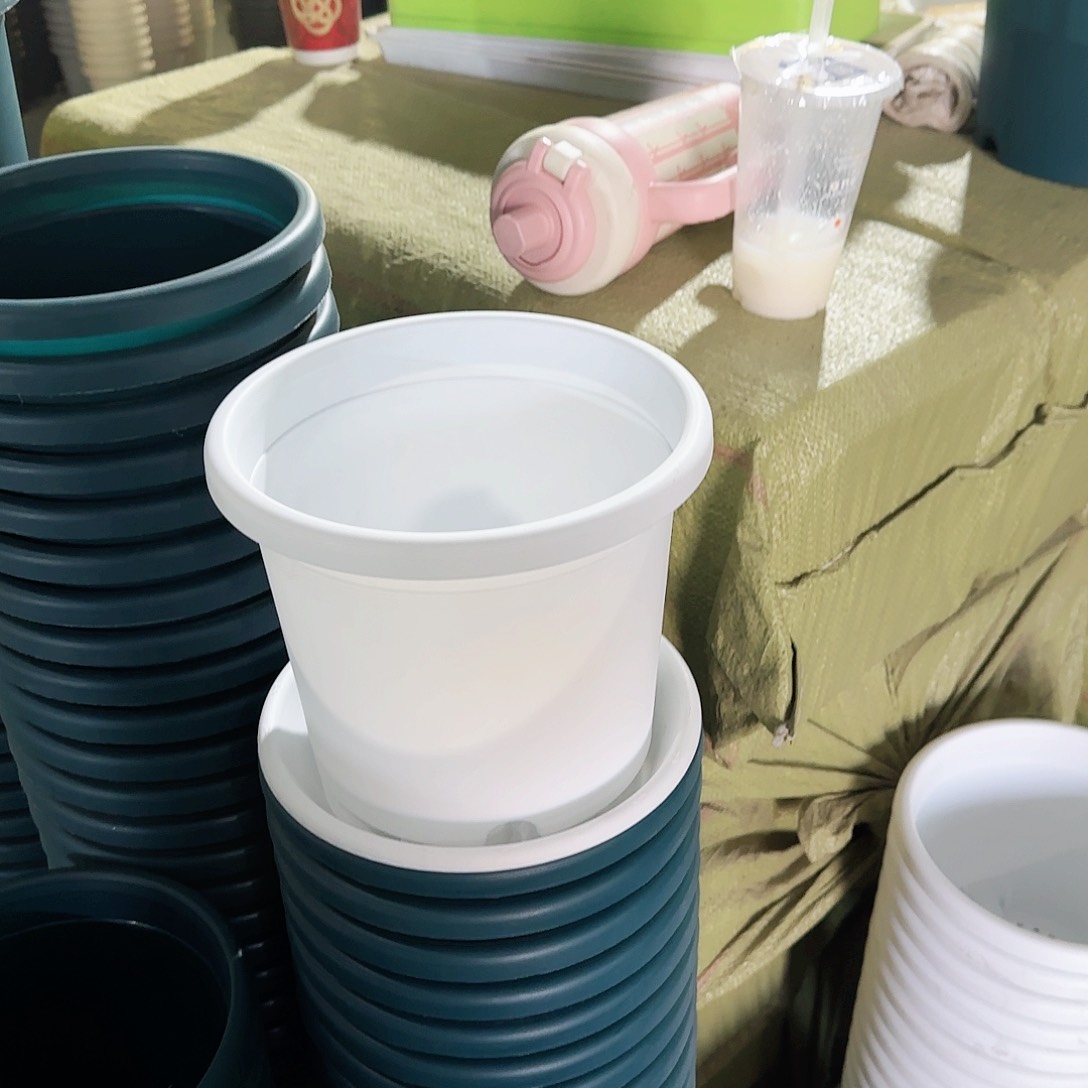 树脂四季3号10个白色的