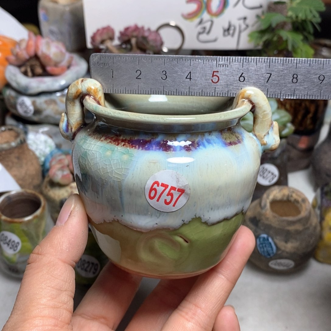 花盆拍3送一个小礼物