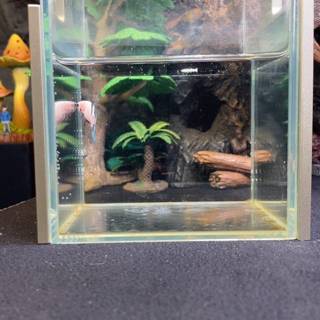 斗鱼十二月六日竞价