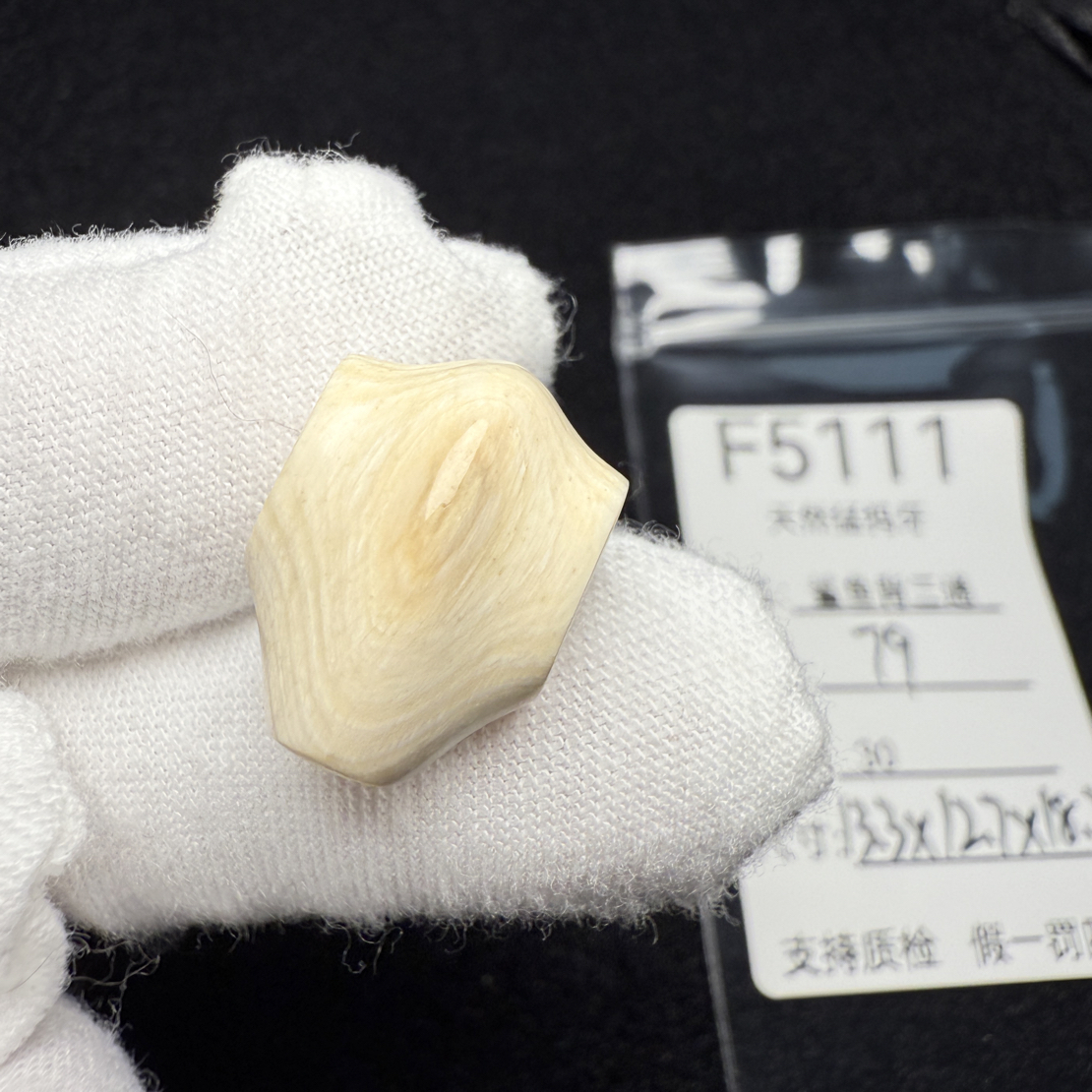 F5111猛犸象牙鲨鱼背一体三通冰料果冻料13.3*12.7*18.2mm