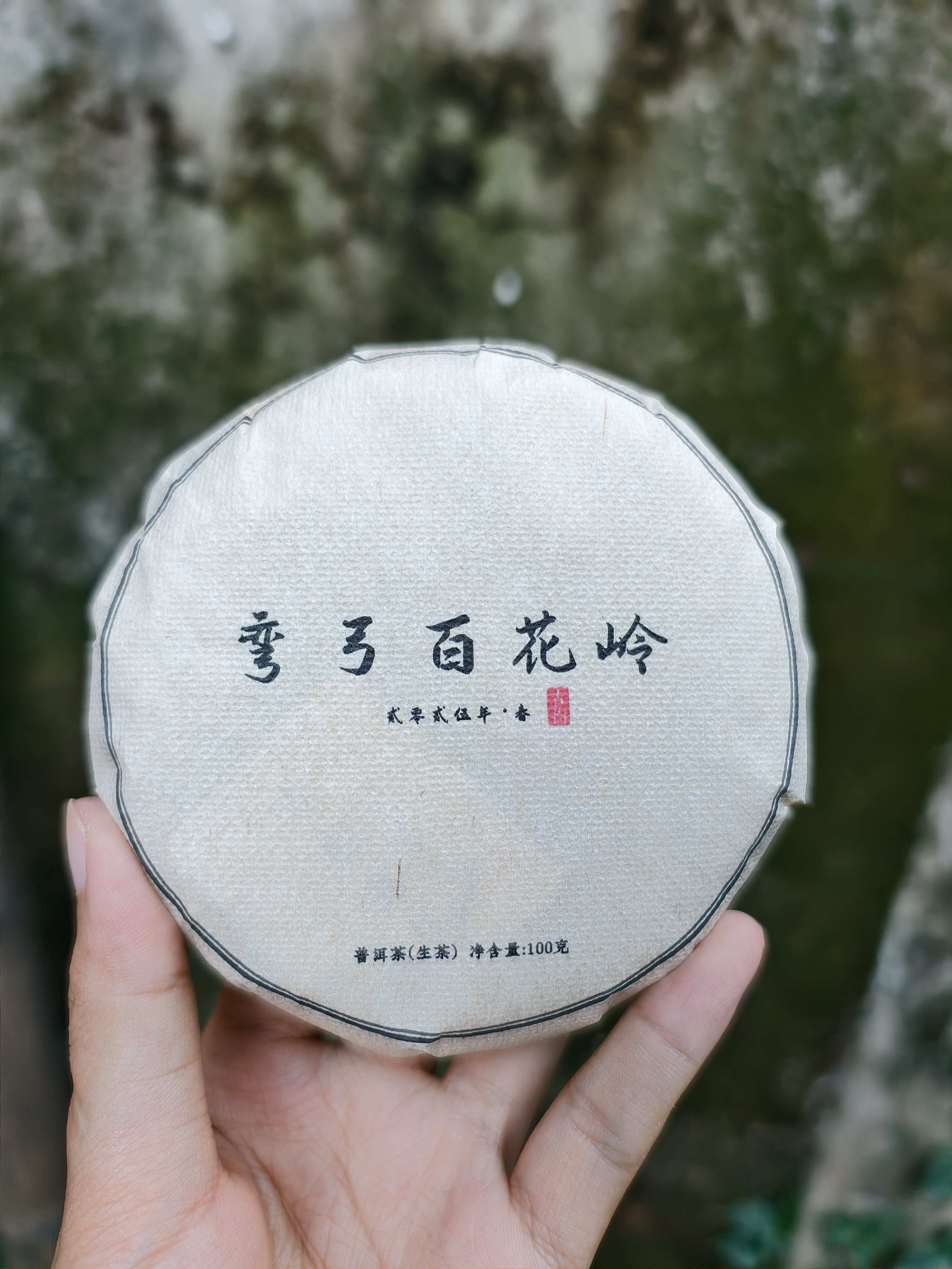 【新品】2025 弯弓百花岭古树 头春头采 普洱茶生茶 100g饼（带茶样）