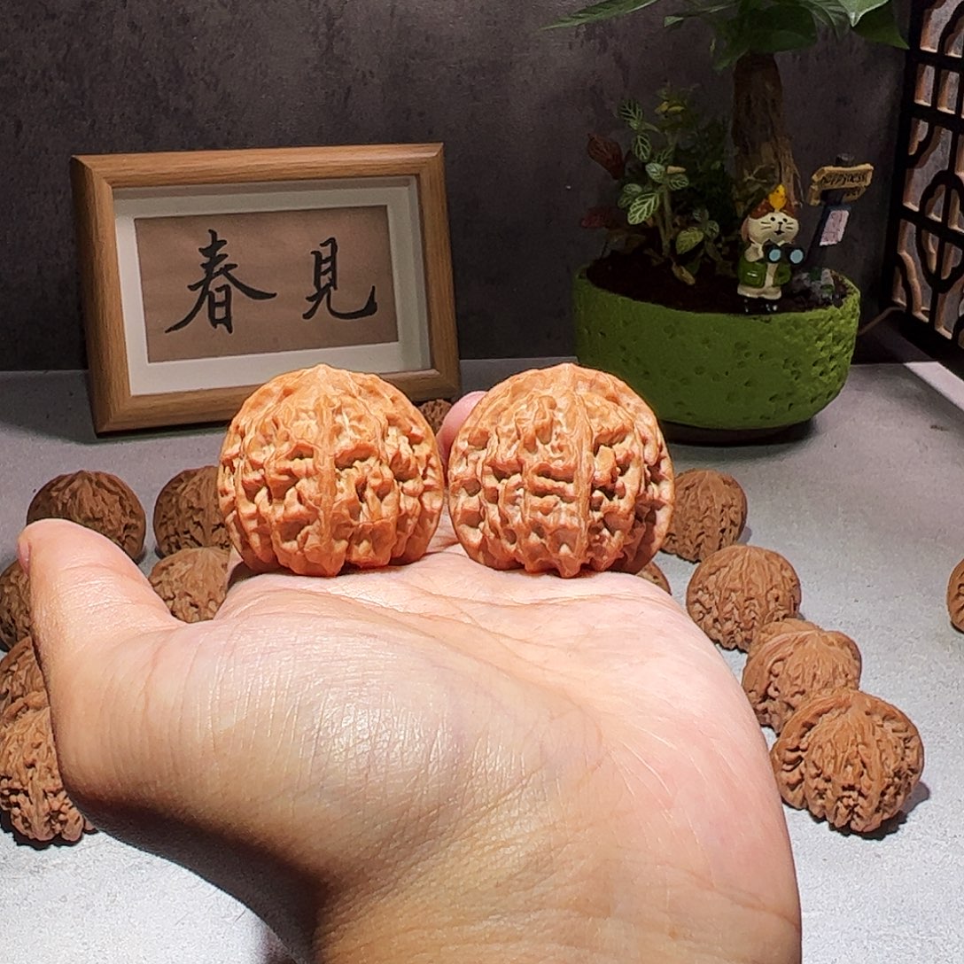 核桃38苹果园全品无修