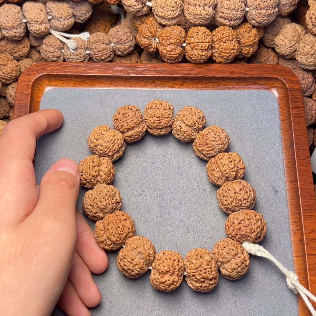 菩提27号尼泊尔大金刚23.5矮桩纽扣梅花蜂窝