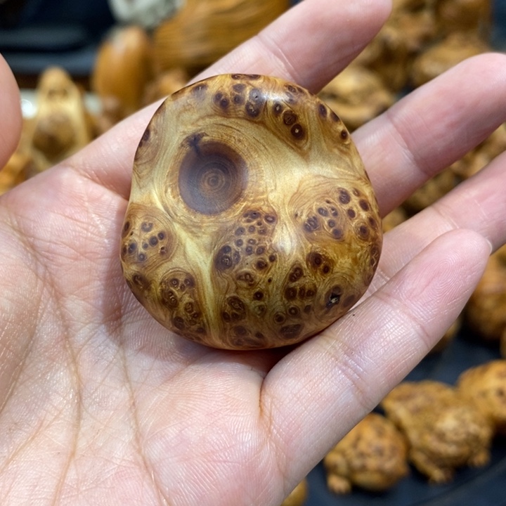 柏木（崖柏）崖柏888