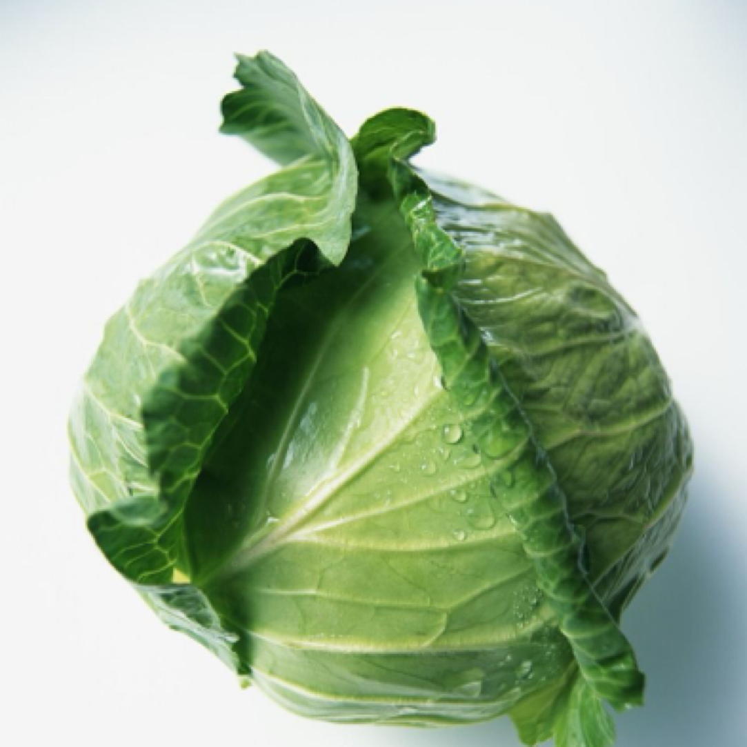 云南高山高原新鲜采摘有机绿甘蓝清脆甘甜鲜嫩脆口蔬菜