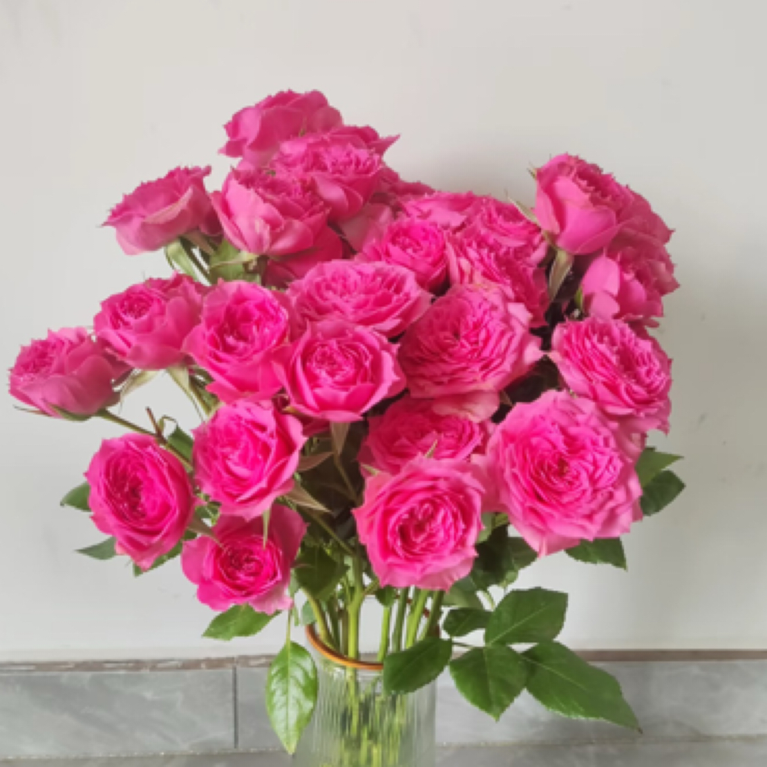 苏菲多头玫瑰鲜花云南基地直发家用新鲜水养真花一单普快2单顺丰