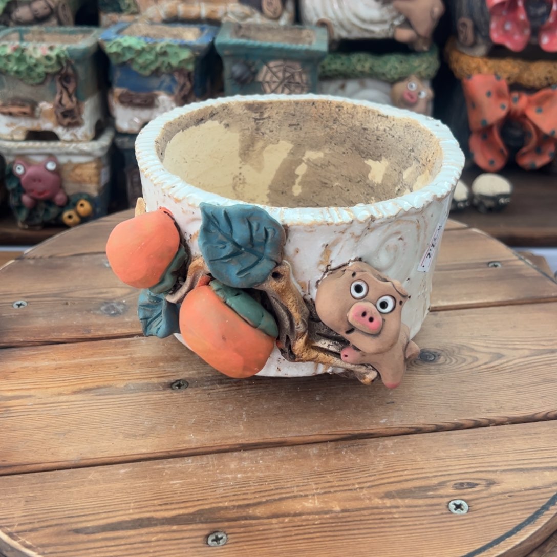 红陶嘻哈多肉花盆