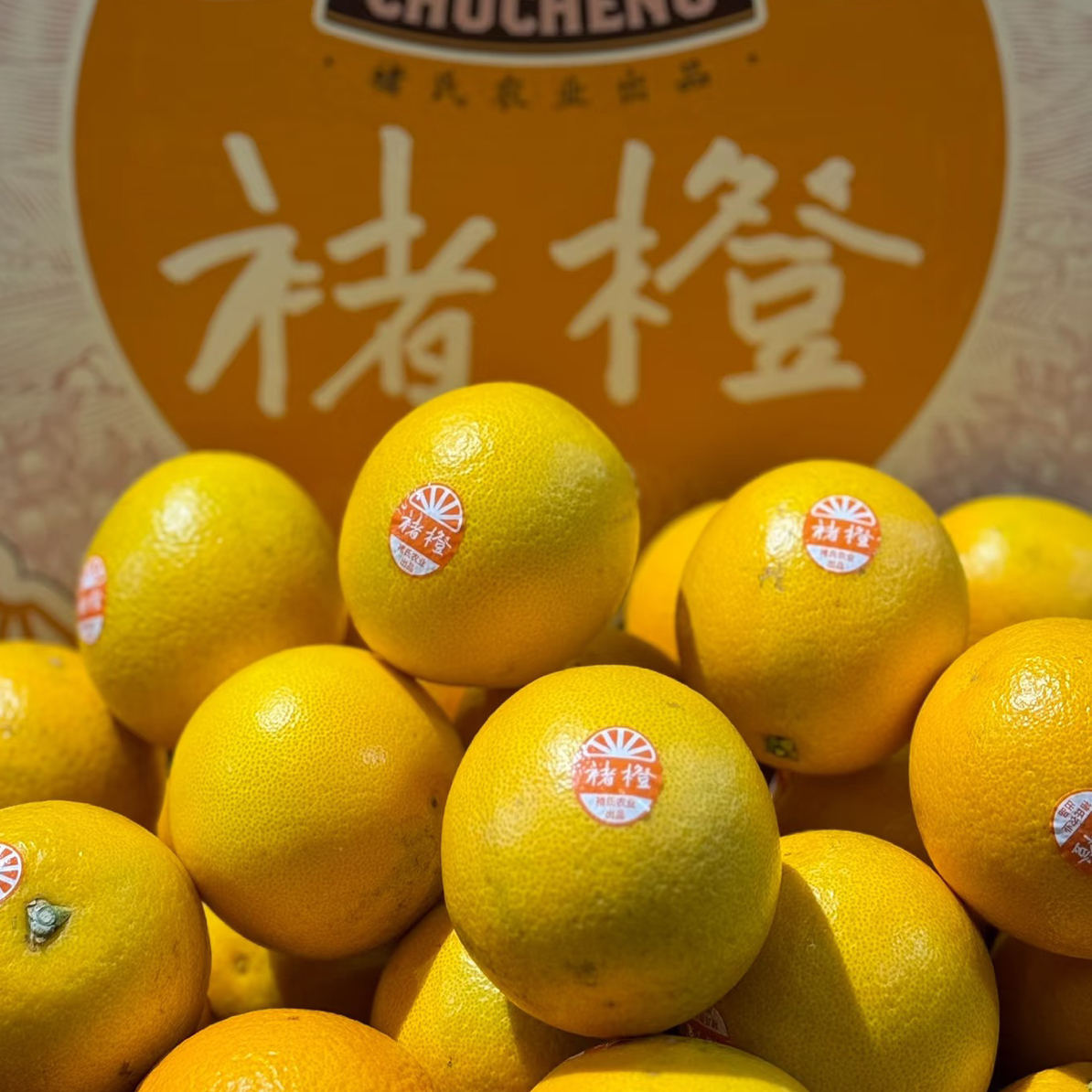 「件装」特级褚橙一箱约5kg正品褚橙新鲜橙子放心购买