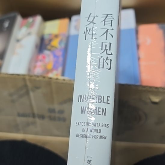 看不见的女性精装没书衣