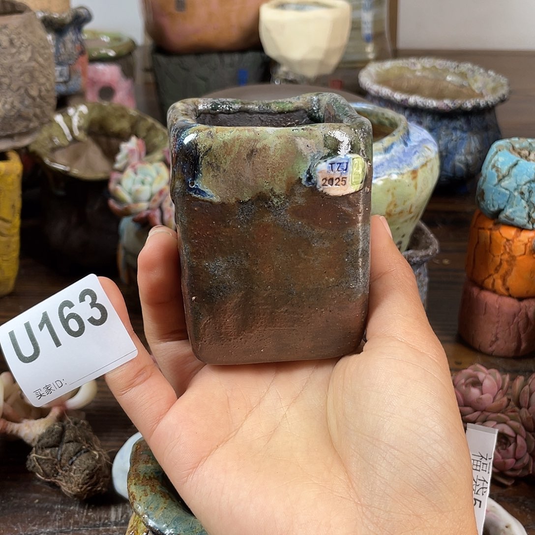 默认微次 跨年福利 坛子姐花盆