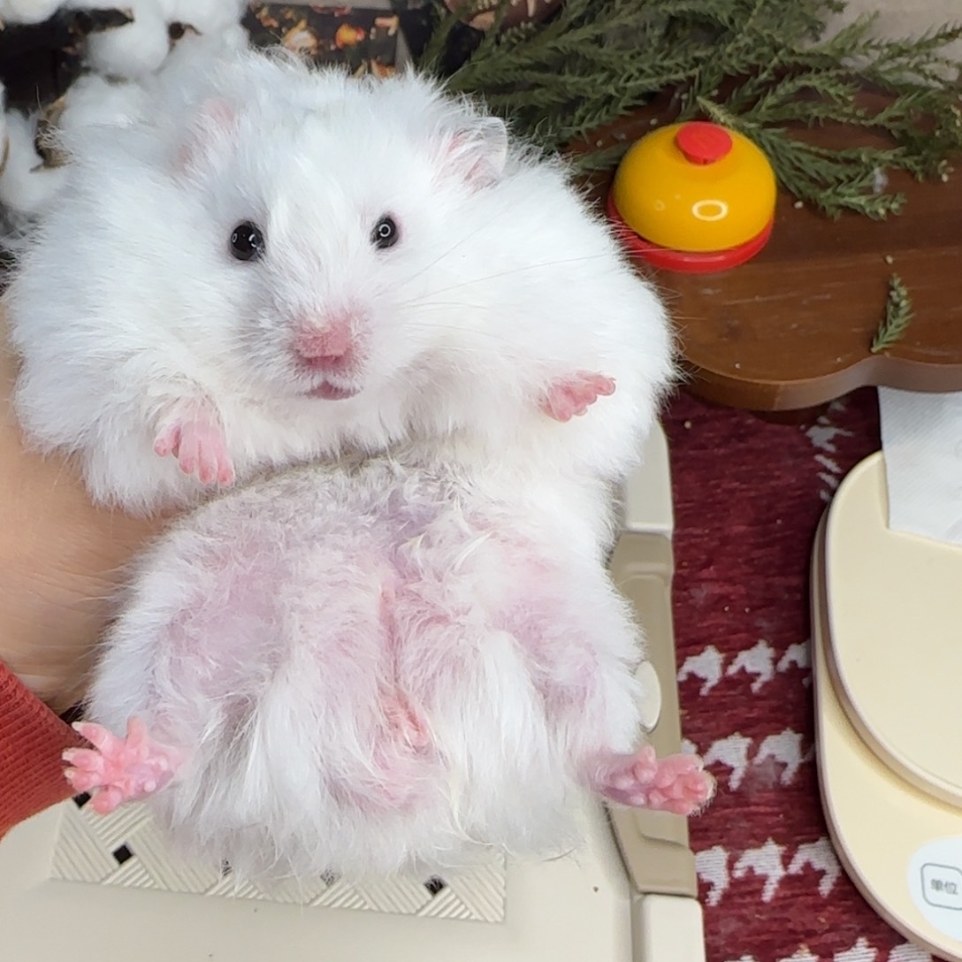 火雨点弟弟10.18生日