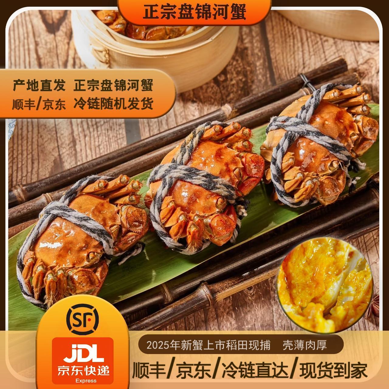 【活蟹】盘锦母蟹河蟹[1.3-1两] 1.8斤/18只-14只 鲜活冷链包邮