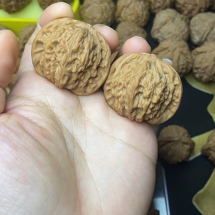 文玩核桃    磨盘山地