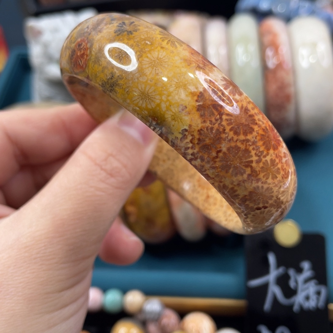 未镶嵌手镯硅化玉