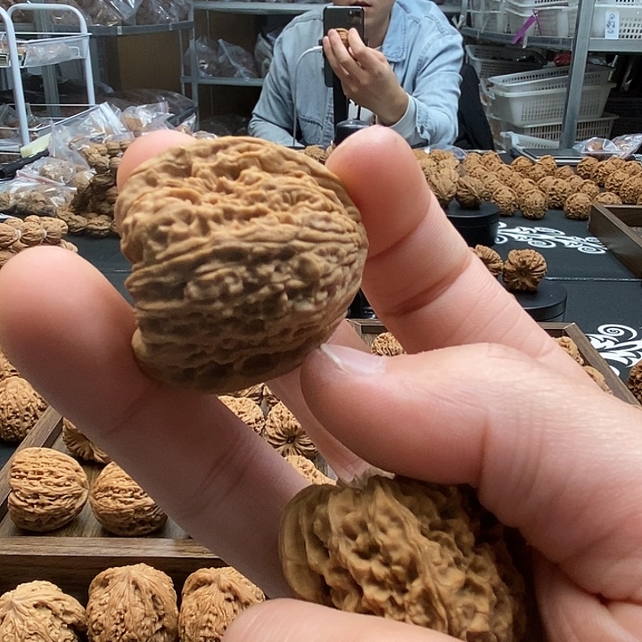 用***2大叶紫檀（黑酸枝木类）南疆石