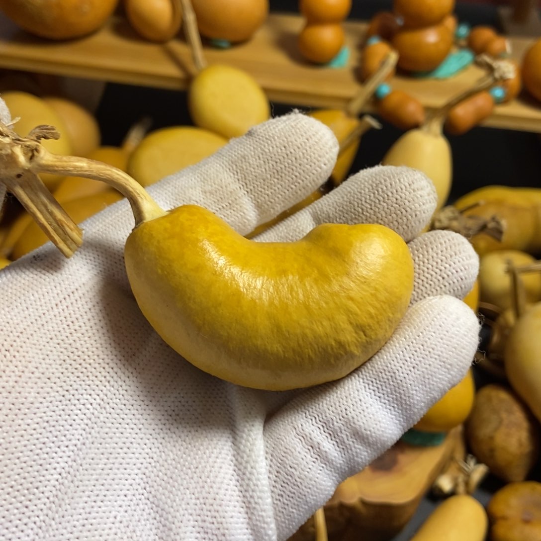 懒*洋葫芦葫芦真的