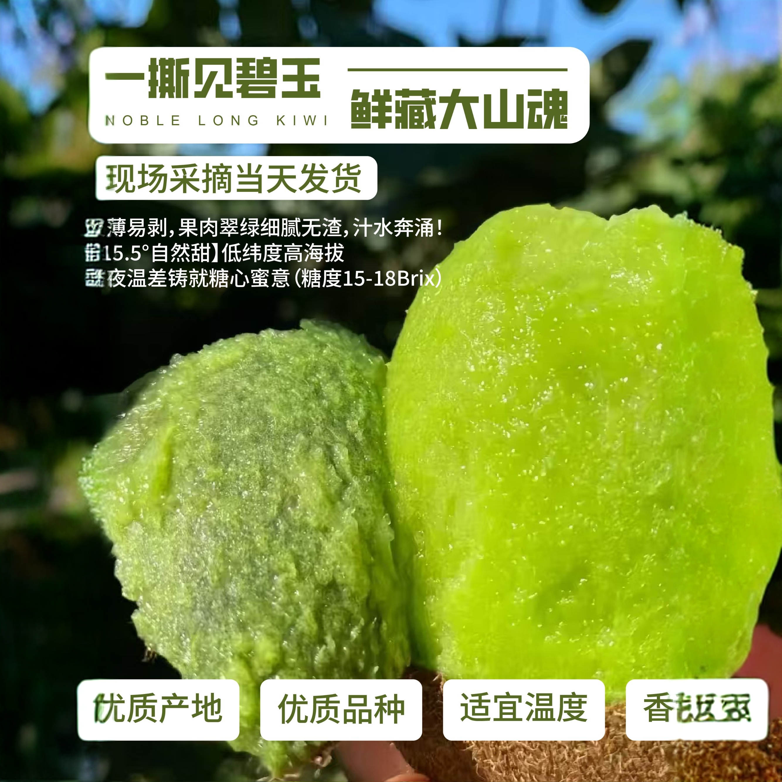 贵州贵长绿心猕猴桃新鲜应季水果香甜多汁