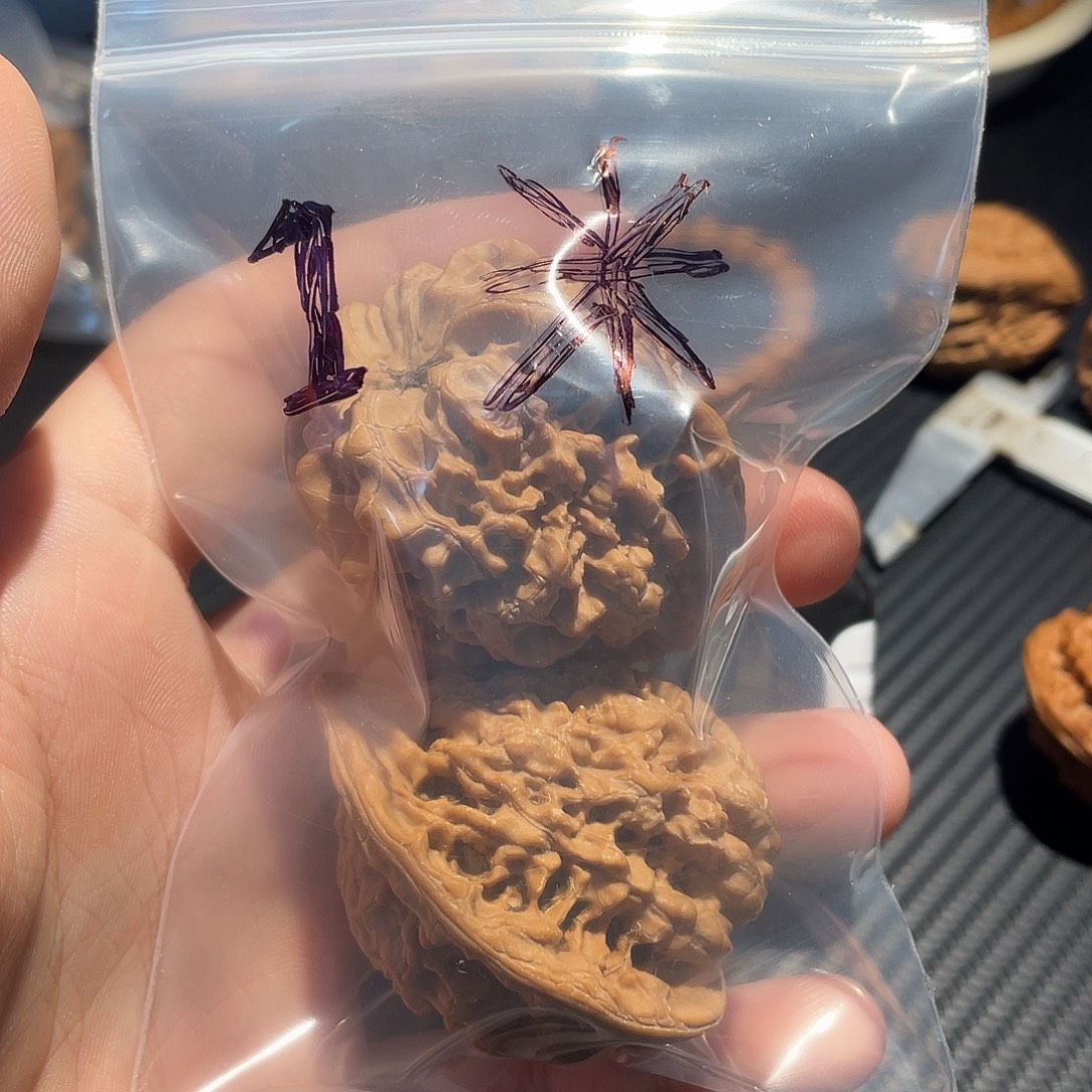 十****文玩核桃吊坠11111