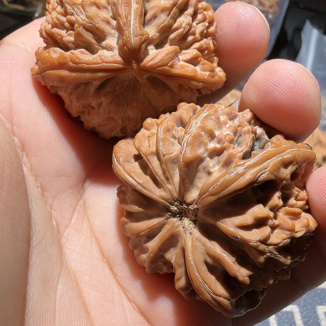 文玩核桃把件妙*宫灯·三棱