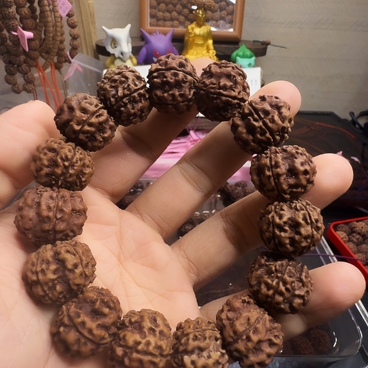 吊坠金刚菩提哈哈哈哈哈哈哈哈