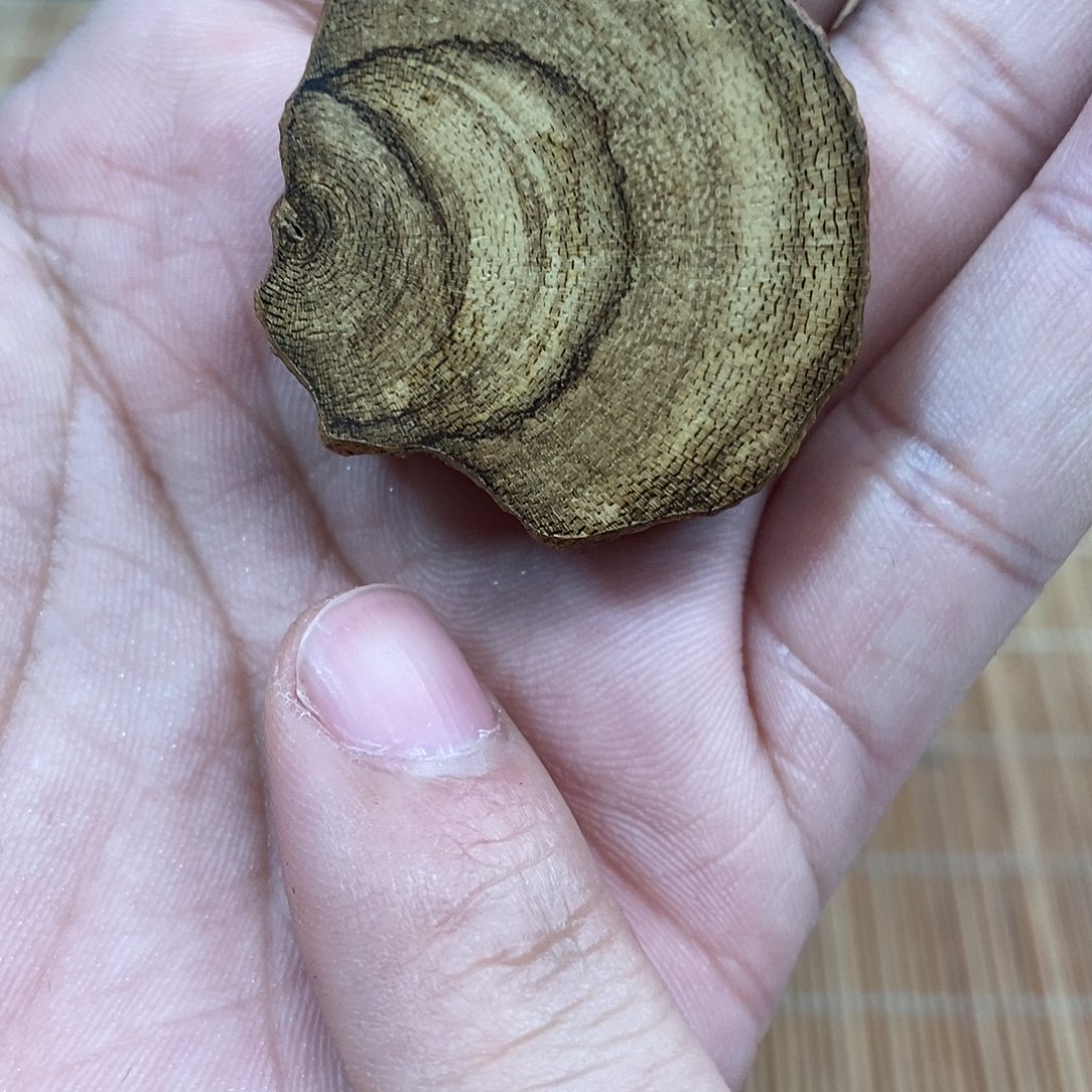 沉香碎屑沉香港香标本