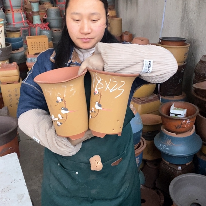 紫砂花盆盆栽花卉苗木种植