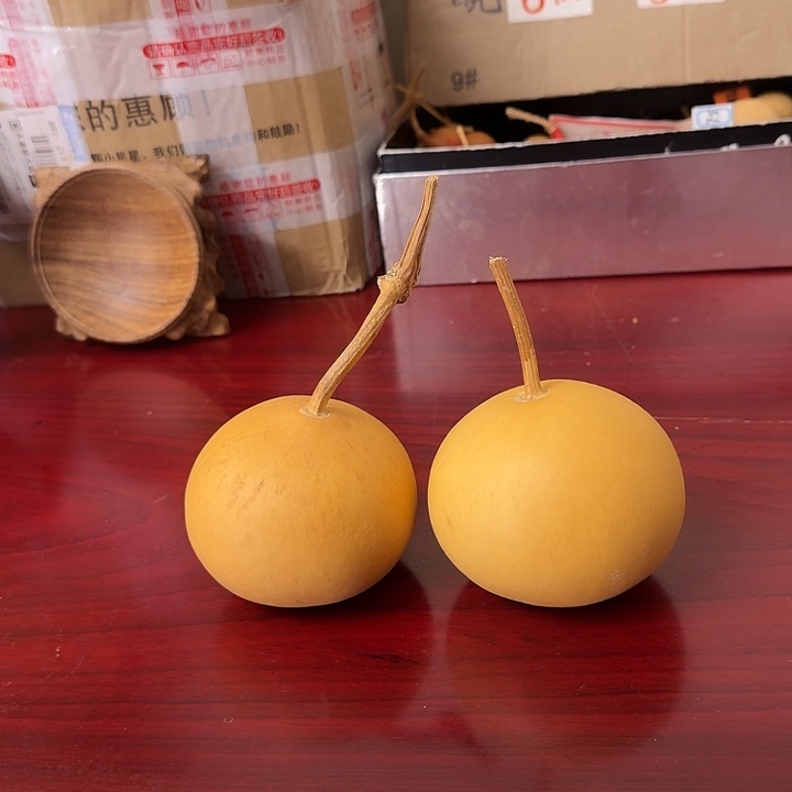 宽***子小苹果小苹果小苹果