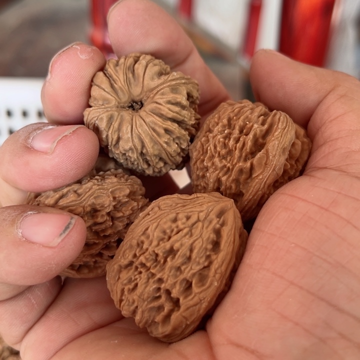 完全开放中**岁南疆石